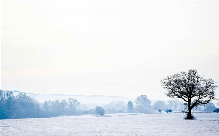 English countryside-Landscape photography wallpaper Views:12464 Date:2012/5/1 17:23:22