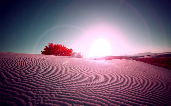 desert flare-natural landscape HD wallpaper Views:14398 Date:2013/3/28 22:40:29