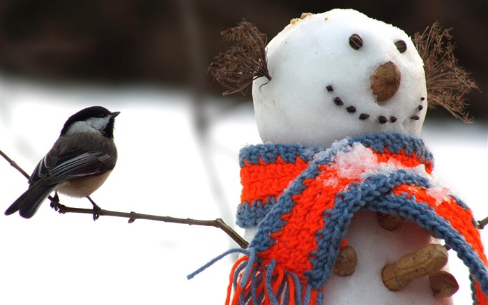 tomtit bird snowman-HD Photo wallpaper Views:7808 Date:2014/1/20 7:52:00