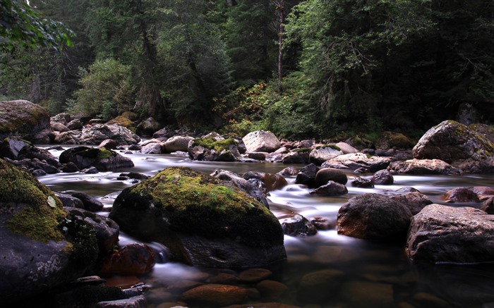 山谷，河，岩石，贝克山，华盛顿，美国，5K 浏览:4188