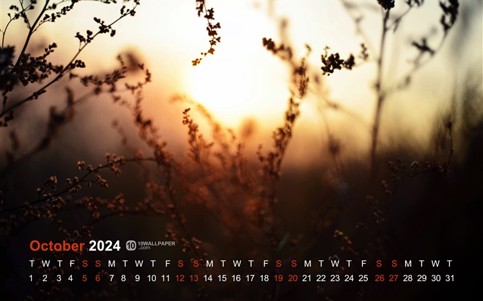 Late Autumn Sunset Grass 2024 October Calendar 5K Views:2141 Date:2024/9/29 3:56:19